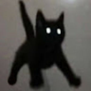 Meet your Posher, Sophie